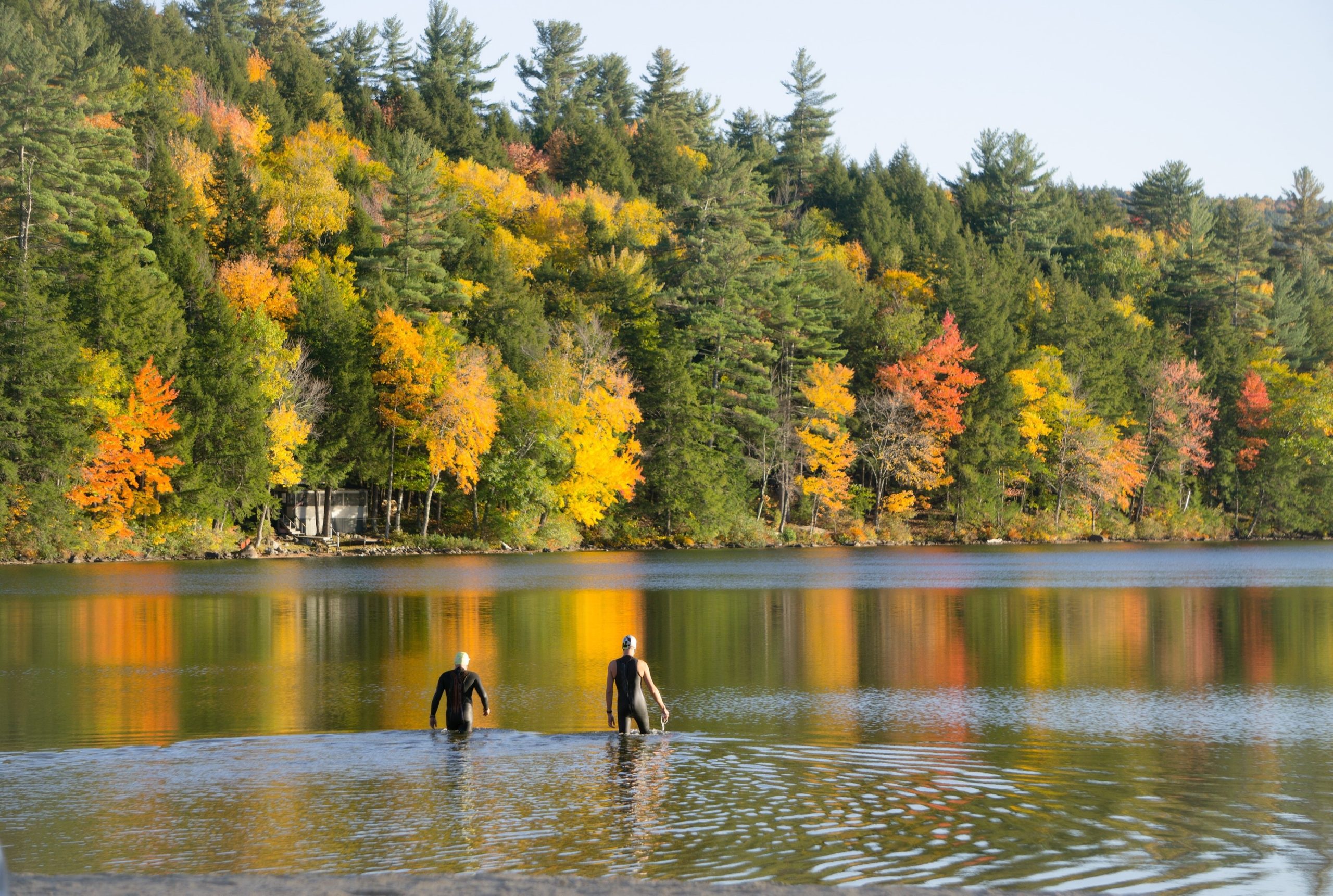Swimmers in wetsuits entering calm water, with autumn trees in the background