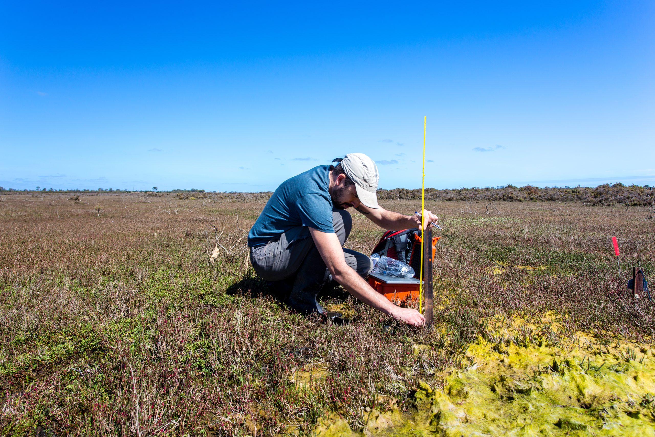 Ecologist setting up a water level logger in a wetland