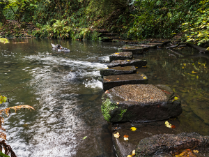 A photo showing stepping stones across a river