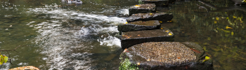 A photo showing stepping stones across a river