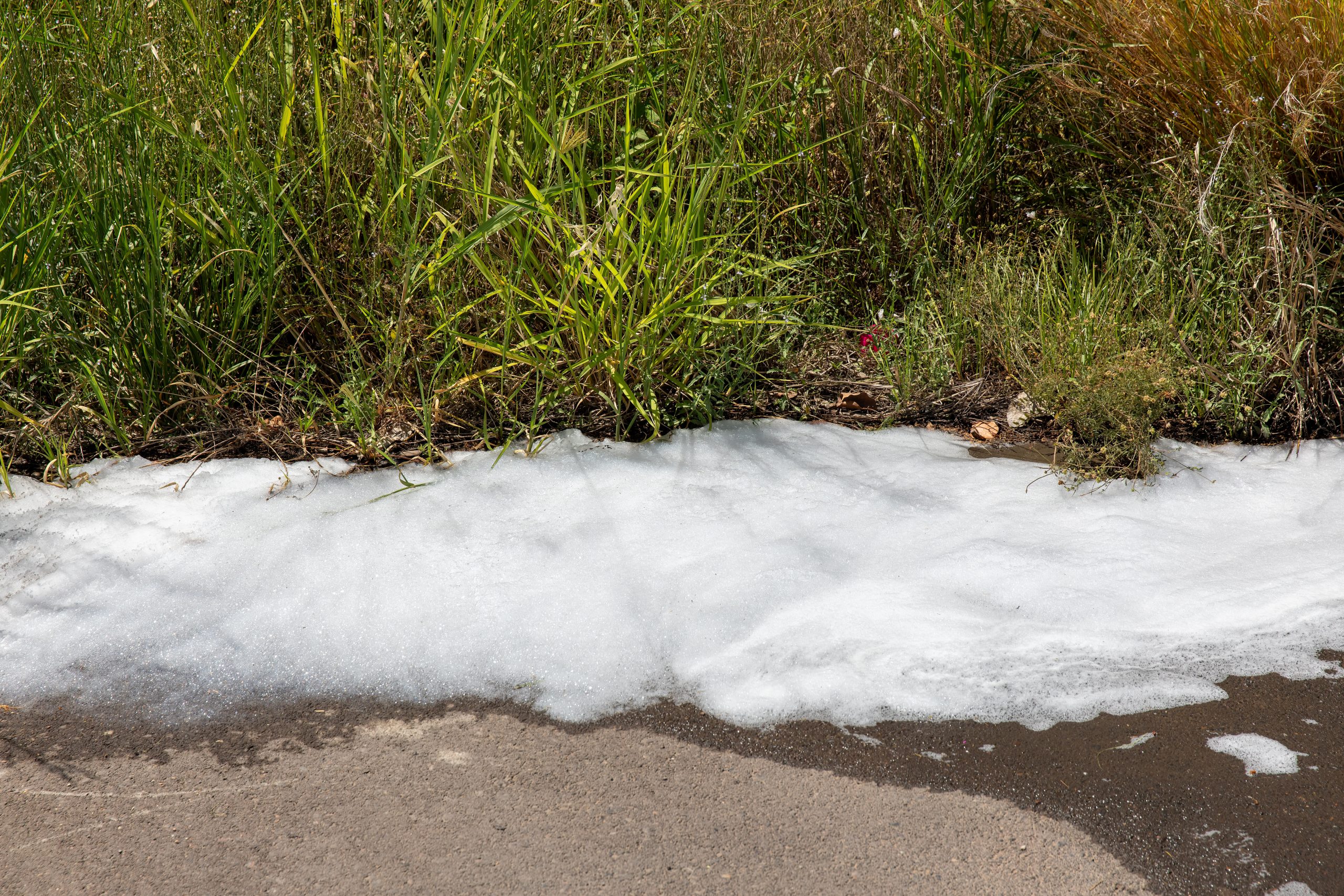 Foam flowing over concrete next to grass