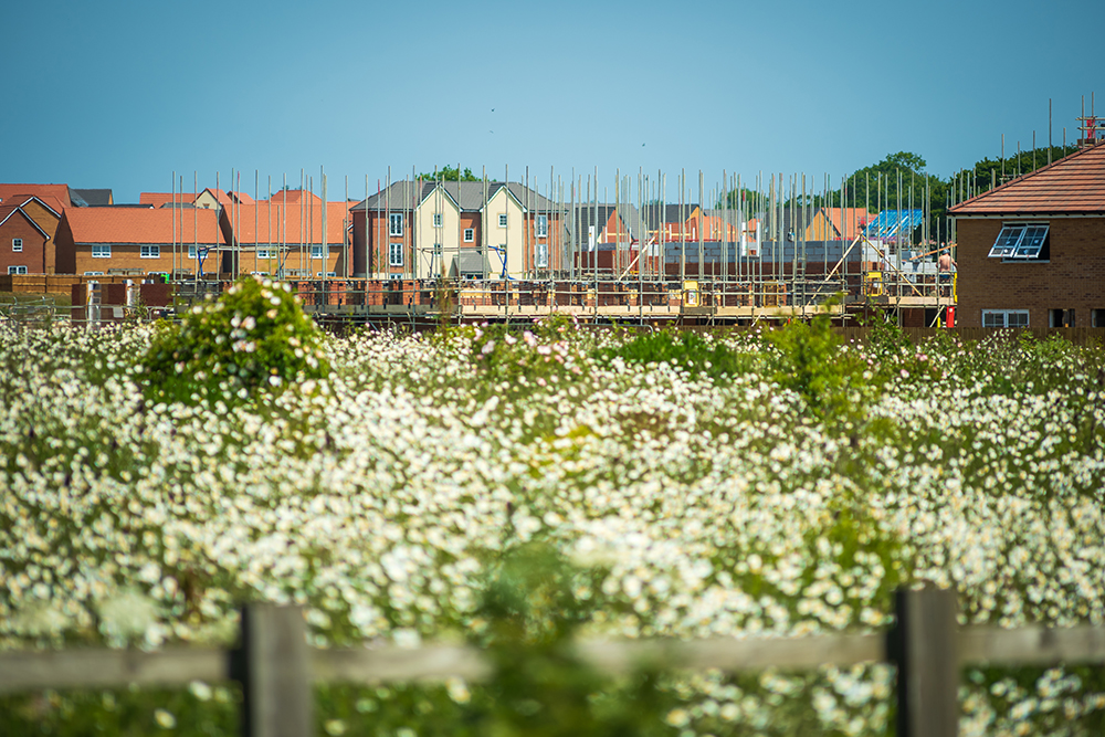 New-build housing and the presence of lead and nickel in drinking water 