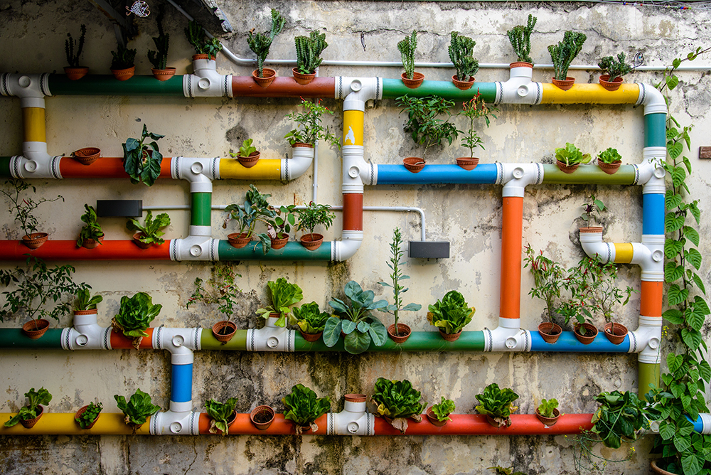 Colourful pipes channelling water on a wall to various plants