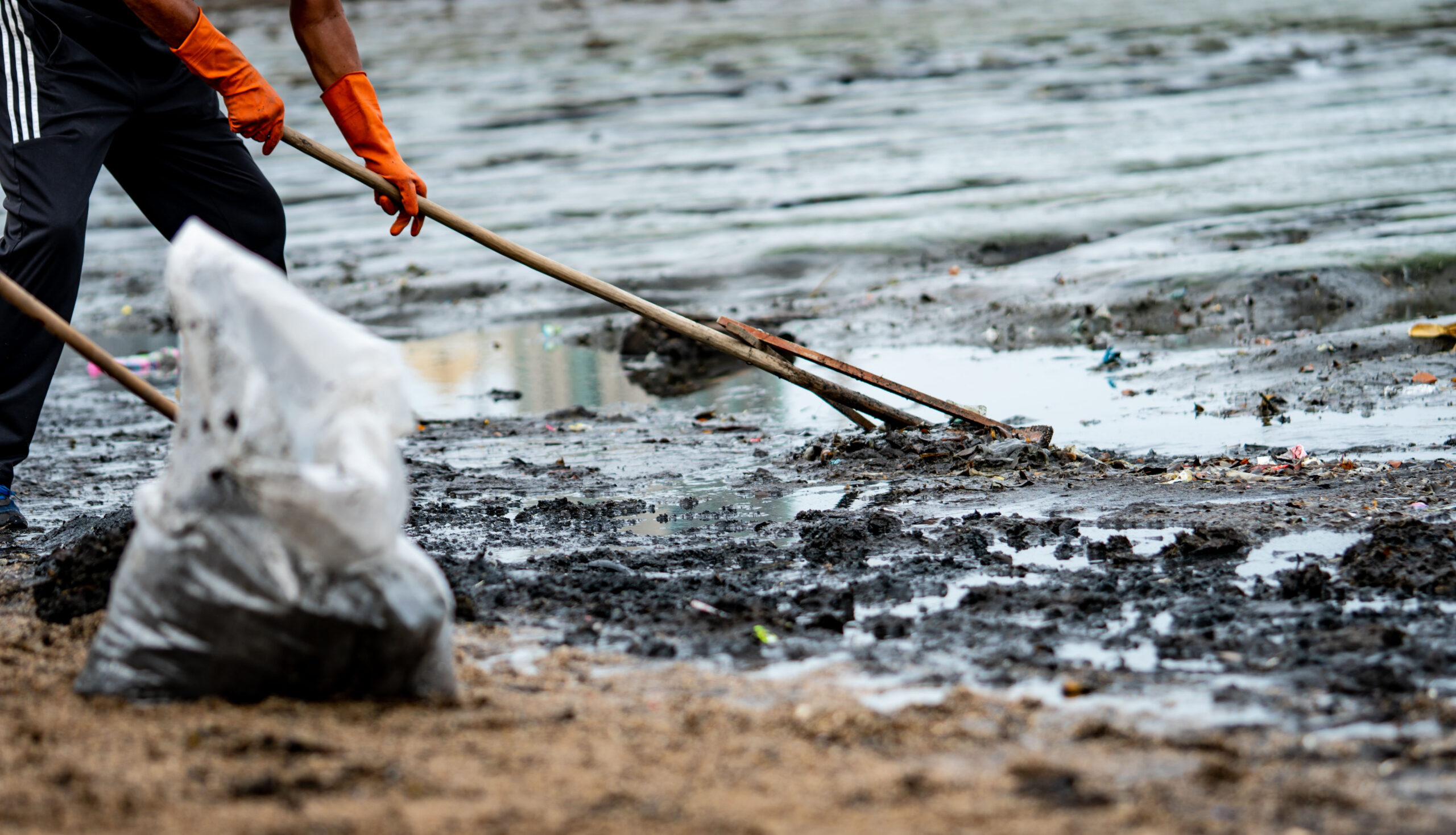 Volunteers wear orange rubber gloves to collect garbage. Beach environment pollution. Volunteers cleaning the beach. Tidying up rubbish on beach. Oil stains on the beach. Oil leak to the sea.
